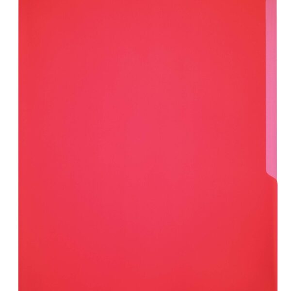 Durable STANDARD Pockets 100 Red (100)