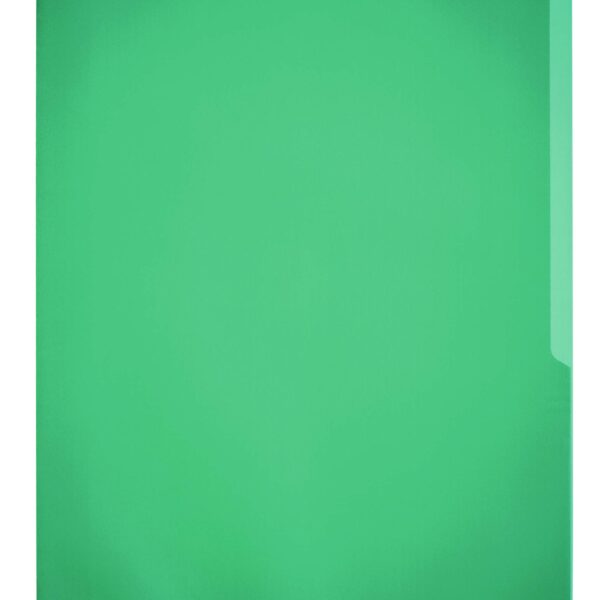 Durable STANDARD Pockets 100 Green (100)
