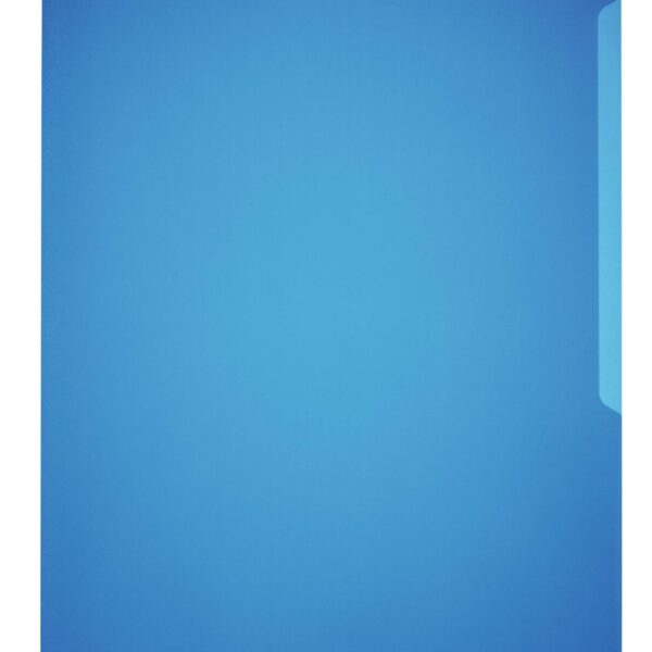 Durable STANDARD Pockets 100 Blue (100)