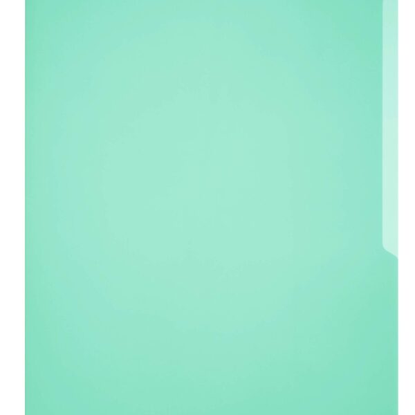 Durable BUSINESS Pockets 50 A4 Green (50)