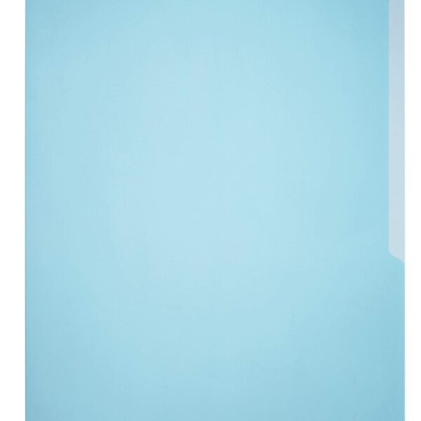 Durable BUSINESS Pockets 50 A4 Blue (50)